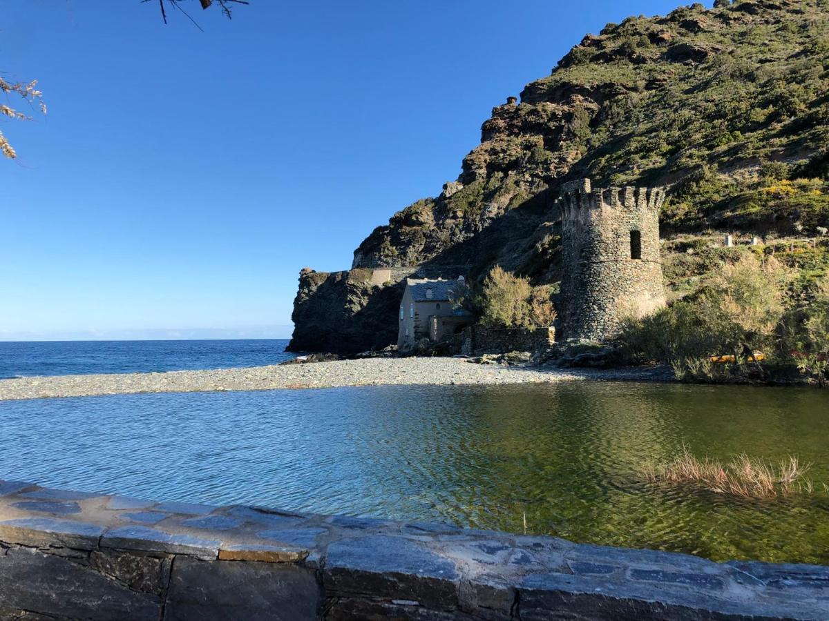 Villa Cap Corse - Grande Maison Au Bord De - Pmr Grillasca