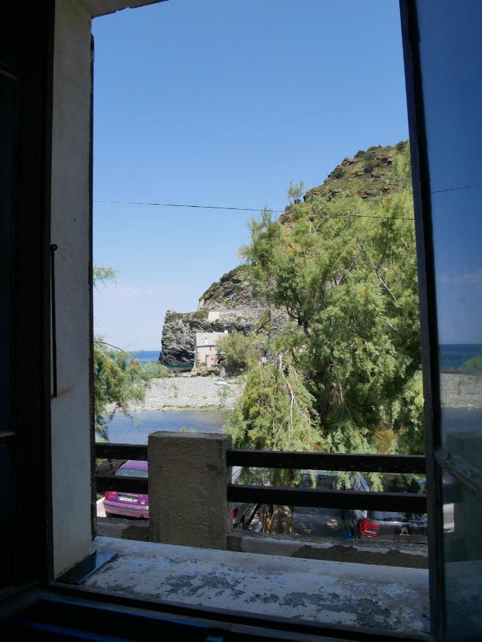 Cap Corse - Grande Maison Au Bord De - Pmr Villa Grillasca