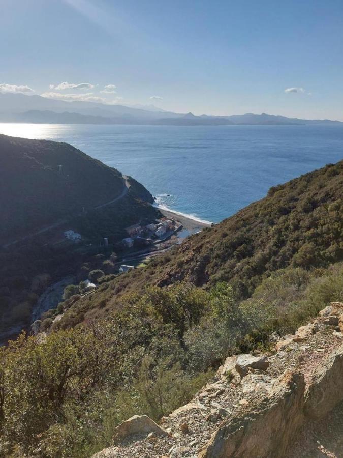 Villa Cap Corse - Grande Maison Au Bord De - Pmr *